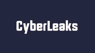 CyberLeaks